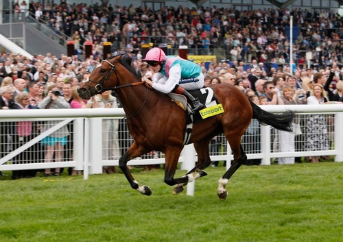 Frankel tom queally race - tom,