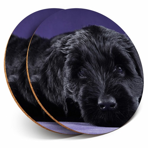 Coasters black russian - -,