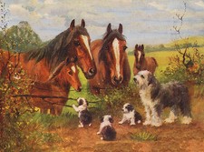 OLD ENGLISH SHEEPDOG WITH