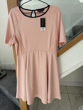 Dorothy Perkins Rose Pink