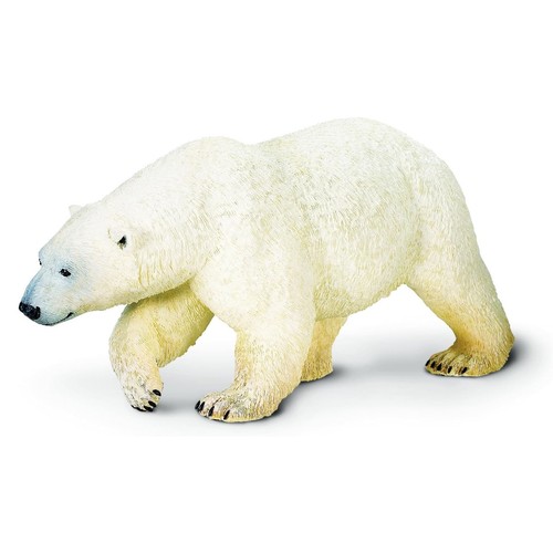 Large polar bear safari - by,