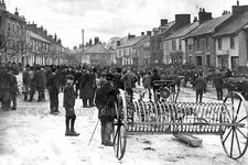 tcc-33 The Cattle Market