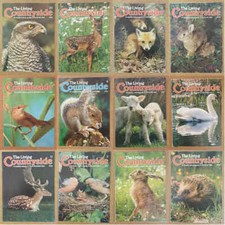 Magazine living countryside - magazine,