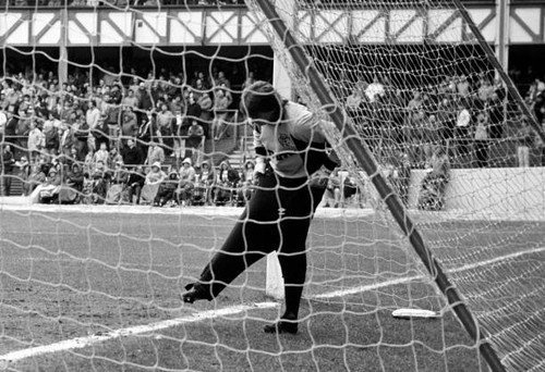 Rangers goalkeeper nicky - goalkeeper,