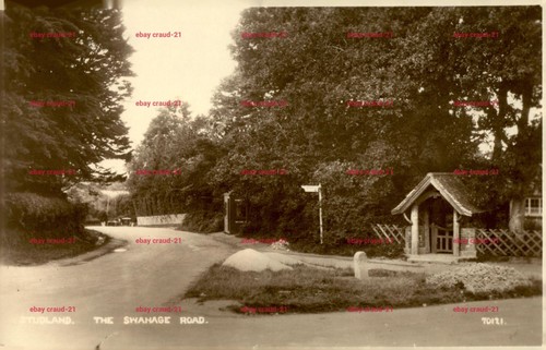 Studland the swanage - the,