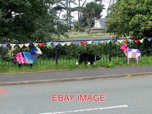Photo welsh coast knitted - welsh,