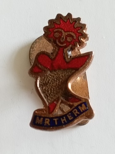 Therm enamelled lapel badge - lapel,
