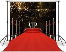 10x10FT Red Carpet Backdrop - Studio Photo Backdrop for Wedding, Birthday, Model