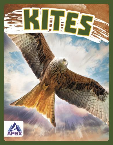 Kites library stratton - by,