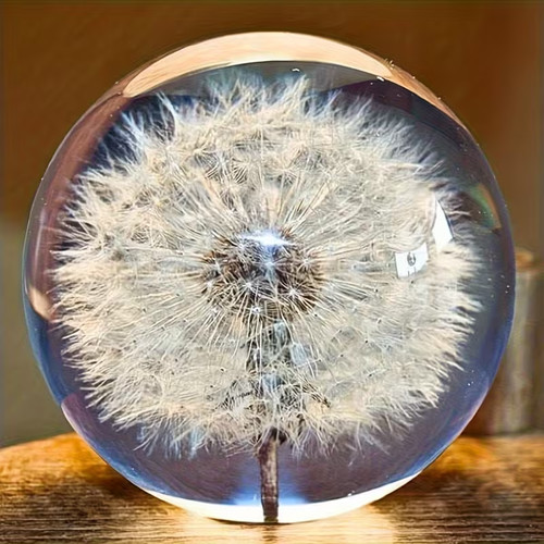 Paperweight real dandelion - paperweight,