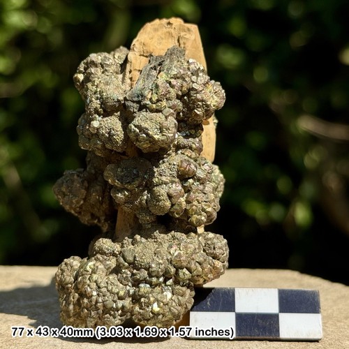 Rare rainbow pyrite supat - rare,