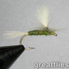 1 dozen (12) - Blue-winged