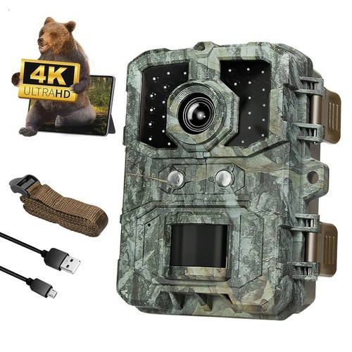 Outdoor scouting trail - 4k,