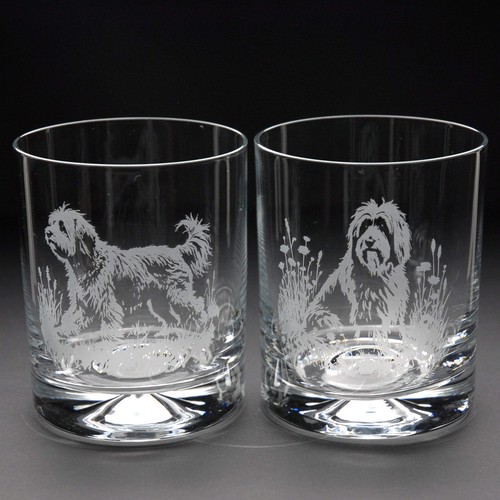 Tibetan terrier dog whiskey - dog,