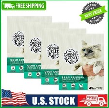 (4 pack) Special Kitty