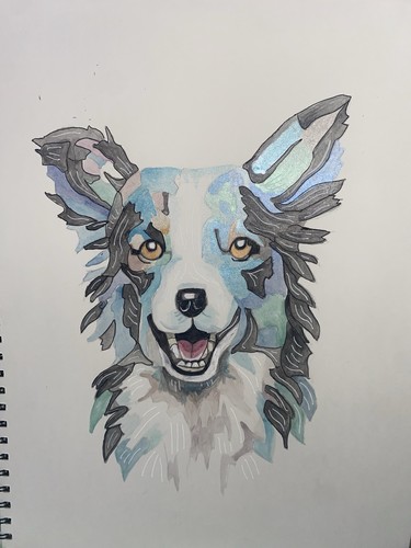 Border collie 6x8 - collie,