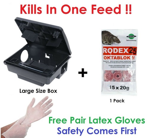 Rat and mouse killer poison - mouse,