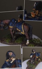 Napoleonic wars 28mm metal French ADC Perry Miniatures  not Warhammer  