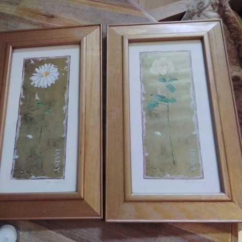 Maxx homesense set two - set,
