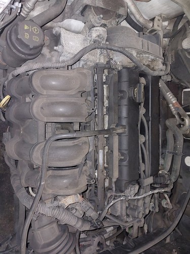 Engine ford focus mk3 - engine, (c346)