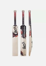 Kookaburra beast sh - beast,