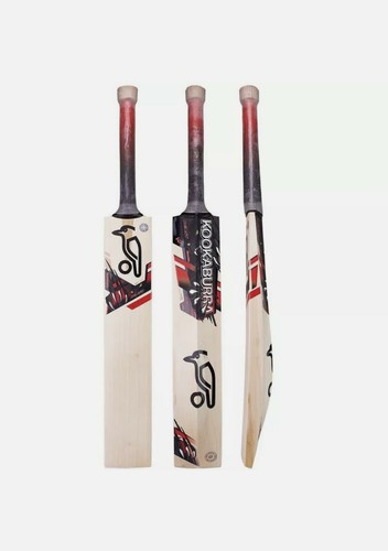 Kookaburra beast sh - kookaburra,