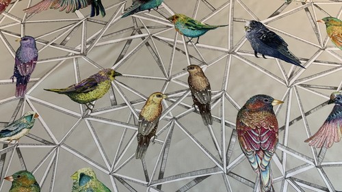 Birds printed cotton - printed,