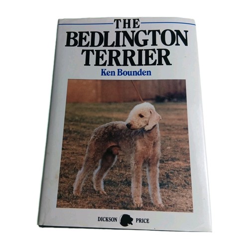 Bedlington terrier ken - bedlington,