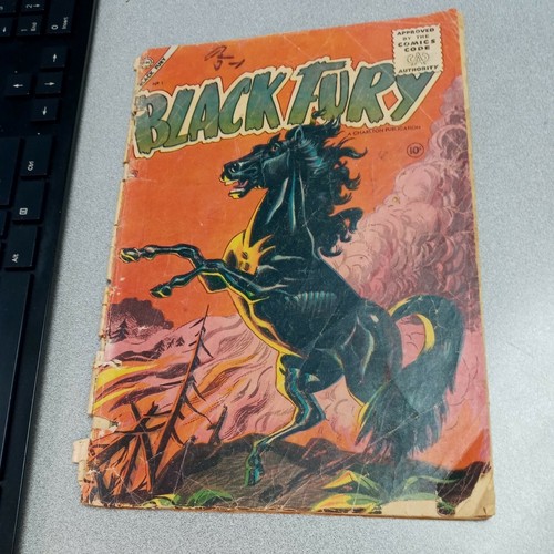 Black fury charlton comics - black,