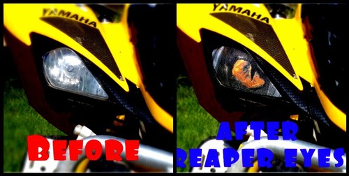Yamaha raptor reaper head - yamaha,