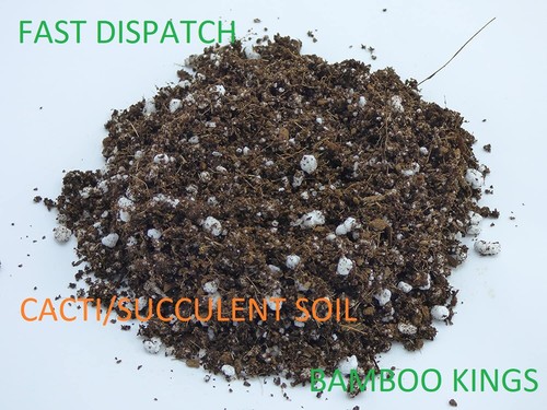 Cacti succulent soil super - soil,