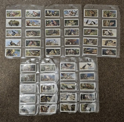 Complete set vintage - set, 50