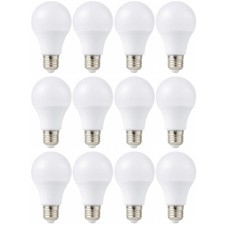 12 Pcs E27 Screw ES LED Bulb