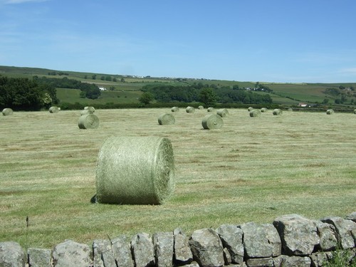 Photo 6x4 silage bales near - 6x4,