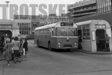 35mm Black and White Negative