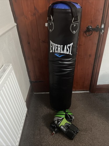 Punchbag boxing bag everlast - punchbag,