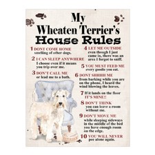  My Wheaten Terrier's House