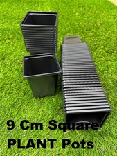 9cm square  plant pots 10 -