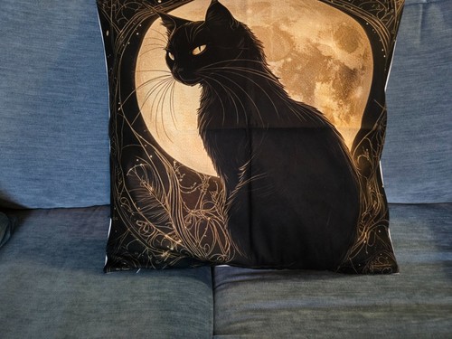 Gorgeous witches cat against - witches,