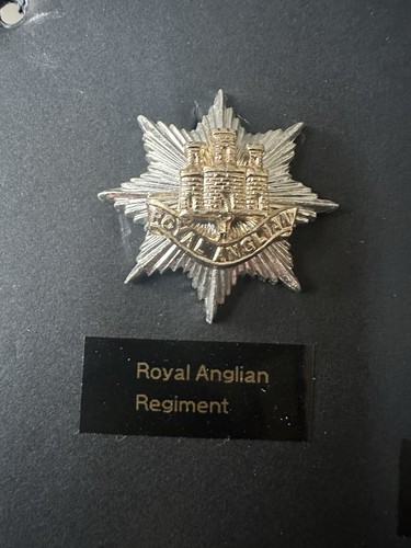 Royal anglian regiment - royal, o/r’s