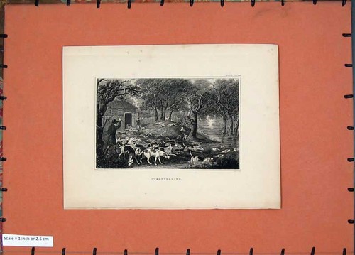 Old antique print unkennelling - old,