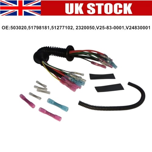 Tailgate wiring loom - wiring,
