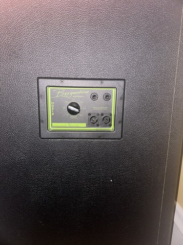 Bergantino bass cab - bergantino,