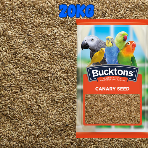 Plain canary seed - plain,