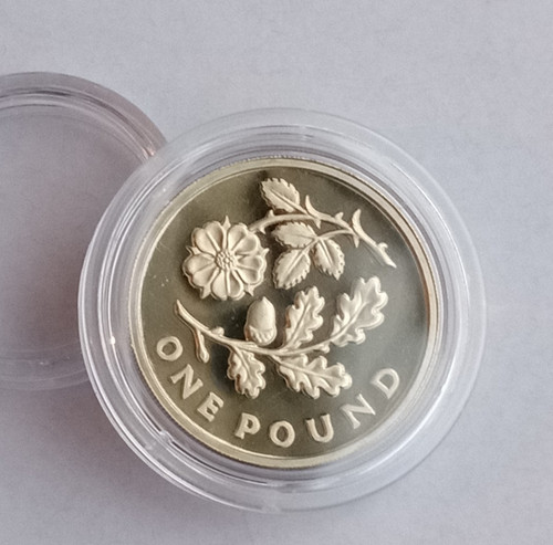 2013 england floral emblem - england,