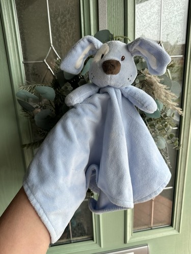 Early days blue - blue, dog