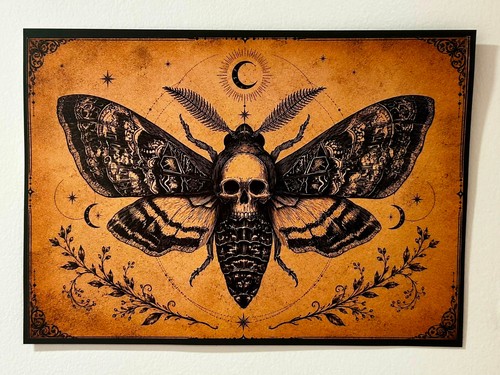 Gothic death head moth - moth, art