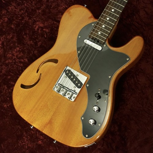 Schecter th ontl - schecter, ol-pt-th