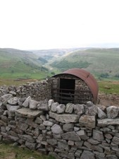 Photo 6x4 Sheep shelter Rash Pastures Muker Small sheep shelter and pen  c2008