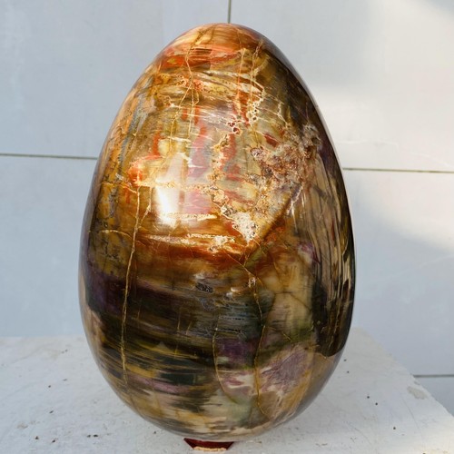 Natural petrified wood egg - petrified,